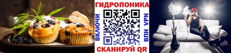 продажа наркотиков  Балей  Cannafood марихуана 