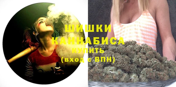 бошки Алексин